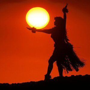 Meet your Posher, Janice - Grass Shack Trading